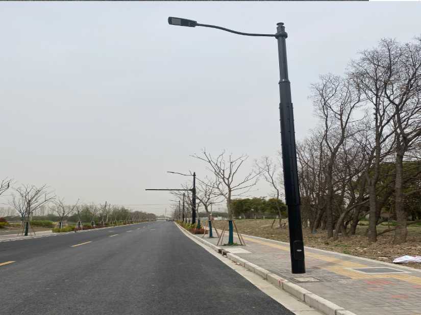 浏阳市上海综合杆 太阳能路灯工程